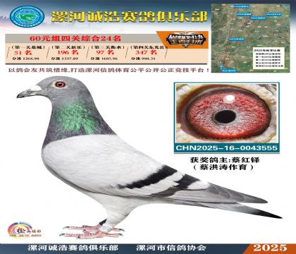 60元組四關(guān)鴿王24名