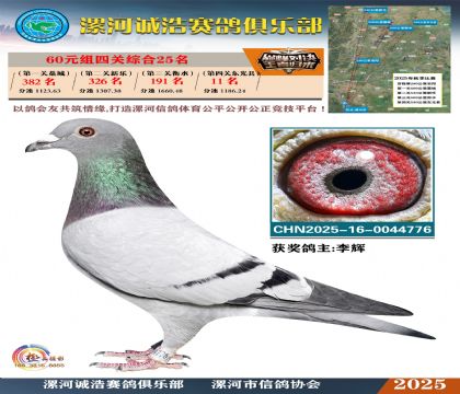 60元組四關(guān)鴿王25名