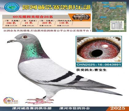 60元組四關(guān)鴿王26名