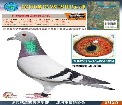 60元組四關(guān)鴿王27名