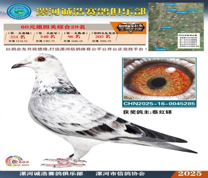 60元組四關(guān)鴿王29名
