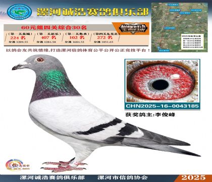 60元組四關(guān)鴿王30名