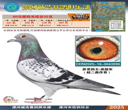 60元組四關(guān)鴿王35名