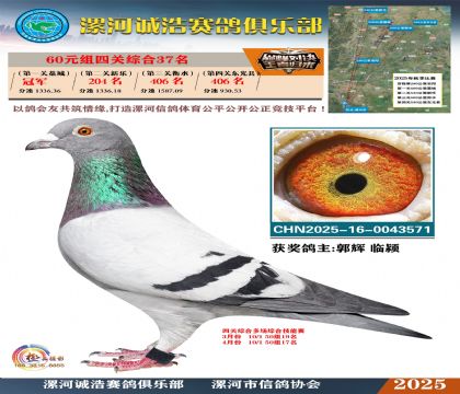 60元組四關(guān)鴿王37名
