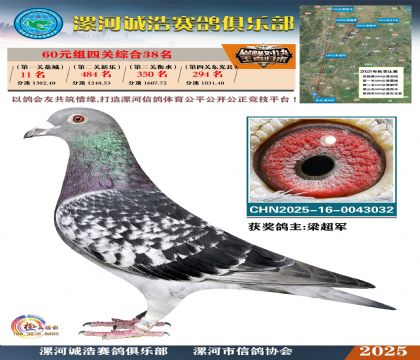 60元組四關(guān)鴿王38名