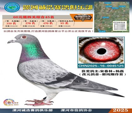 60元組四關(guān)鴿王45名