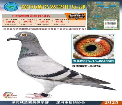 60元組四關(guān)鴿王52名