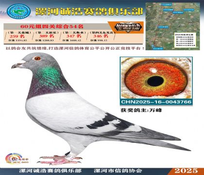 60元組四關(guān)鴿王54名