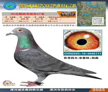 60元組四關(guān)鴿王57名