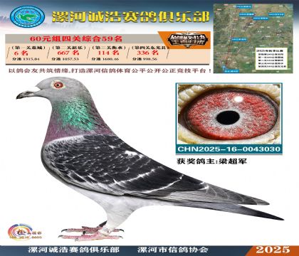 60元組四關(guān)鴿王59名
