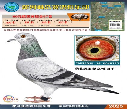 60元組四關(guān)鴿王67名