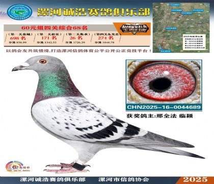 60元組四關(guān)鴿王68名