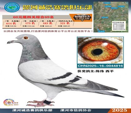 60元組四關(guān)鴿王69名