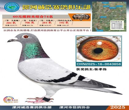 60元組四關(guān)鴿王74名