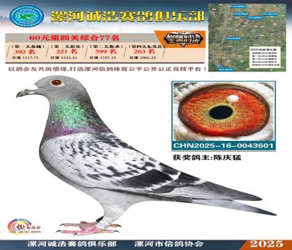 60元組四關(guān)鴿王77名