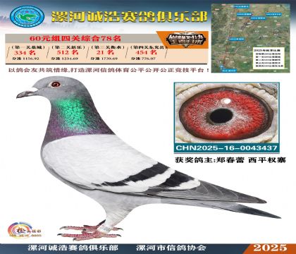 60元組四關(guān)鴿王78名