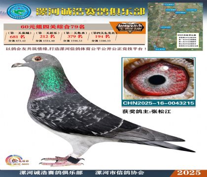 60元組四關(guān)鴿王79名