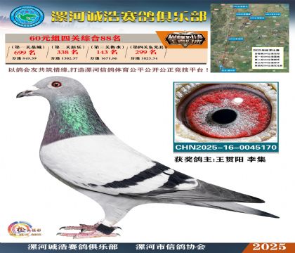 60元組四關(guān)鴿王88名