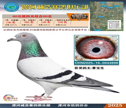 60元組四關(guān)鴿王90名