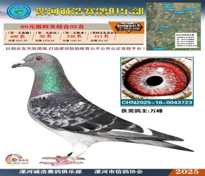 60元組四關(guān)鴿王92名