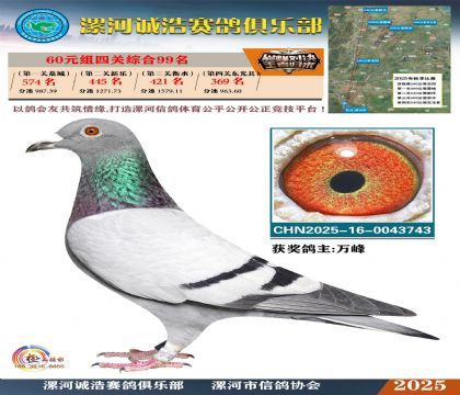 60元組四關(guān)鴿王99名