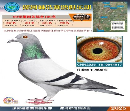 60元組四關(guān)鴿王100名