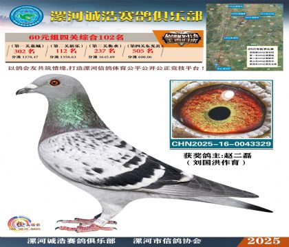 60元組四關(guān)鴿王102名