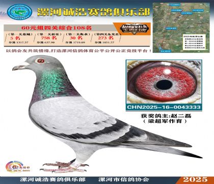 60元組四關(guān)鴿王108名