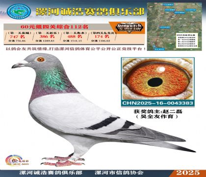 60元組四關(guān)鴿王112名