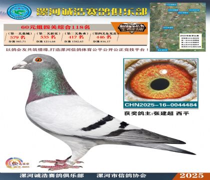 60元組四關(guān)鴿王118名