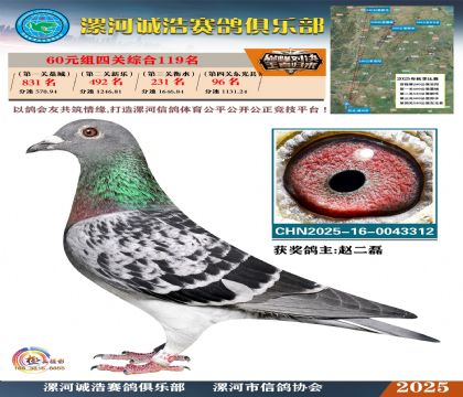 60元組四關(guān)鴿王119名