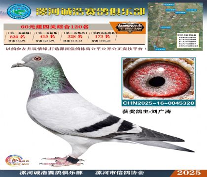 60元組四關(guān)鴿王120名