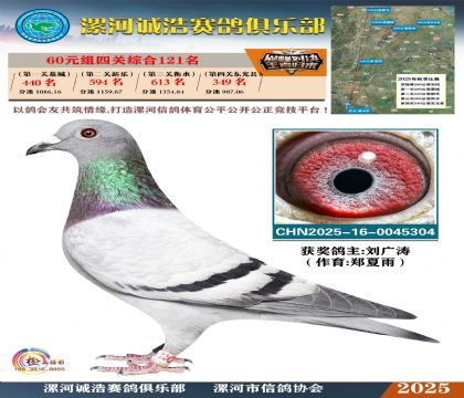 60元組四關(guān)鴿王121名