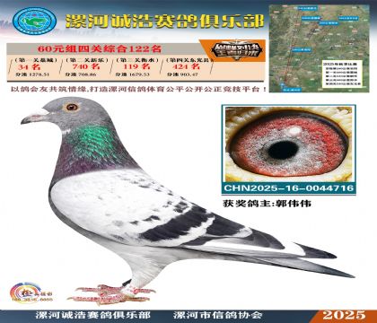 60元組四關(guān)鴿王122名