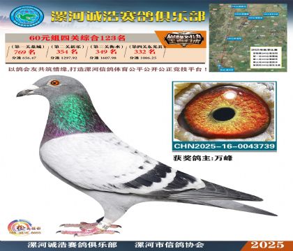 60元組四關(guān)鴿王123名