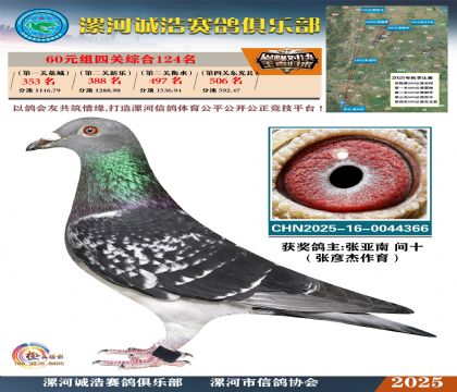 60元組四關(guān)鴿王124名