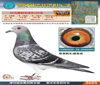 60元組四關(guān)鴿王125名