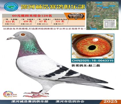 60元組四關(guān)鴿王128名