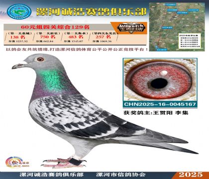 60元組四關(guān)鴿王129名