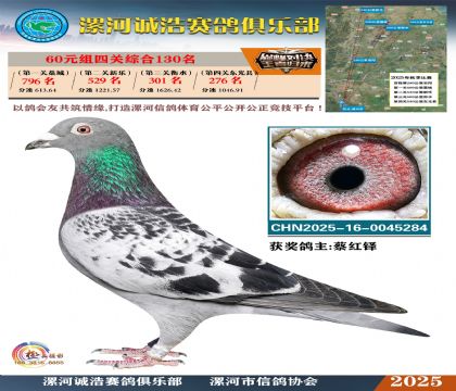 60元組四關(guān)鴿王130名