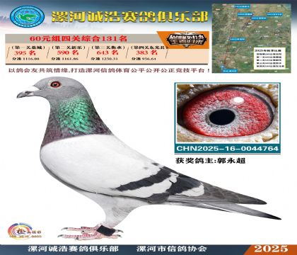 60元組四關(guān)鴿王131名