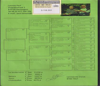 ԭ��Ѫ�y(t��ng)��