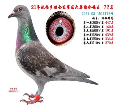 當(dāng)年獲獎(jiǎng)圖片