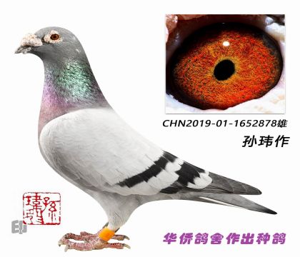 2--ղɭ019ϵ-1652878