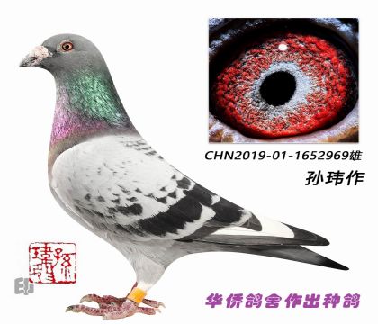 8--ղɭϵ-1652969-ǳ-