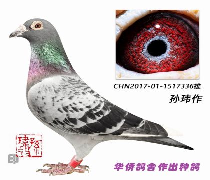 4--ղɭ019ػѪ1517336