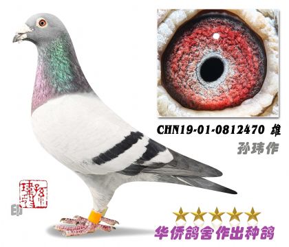 5--ƽӥԤ300K100812470