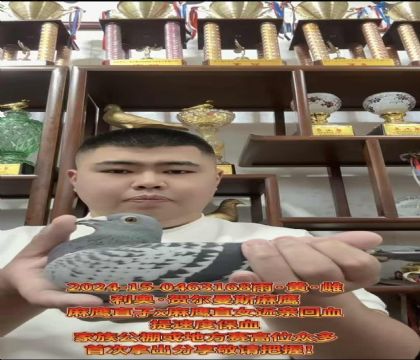 ٶȰ/º،˹ӥֱXӥֱŮѪ