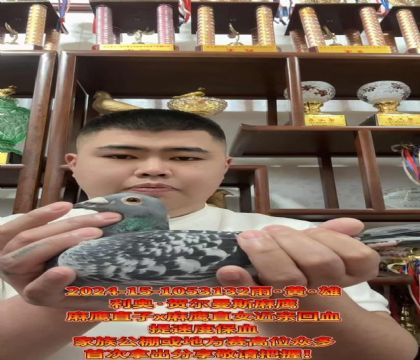 ٶȰ/º،˹ӥֱXӥֱŮѪ