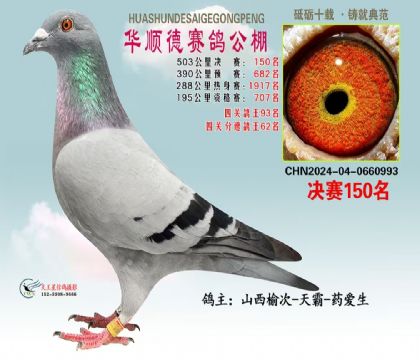 ȫƽ̫݅ԭf500ﳬٹ܊